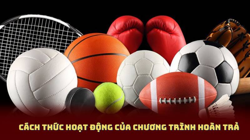 Cách thức hoạt động của chương trình hoàn trả